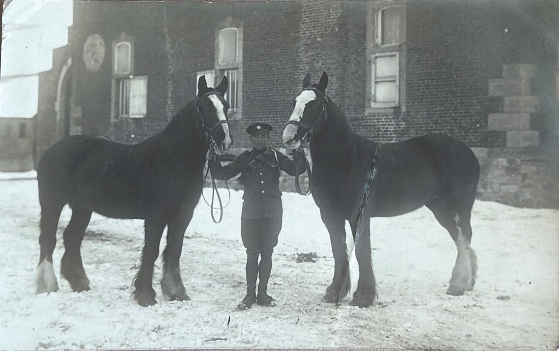 Soldier With Horses front image